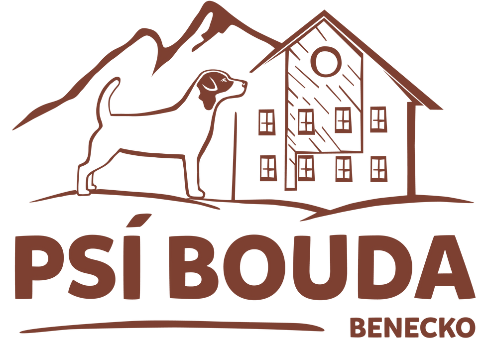 Psiboudaseda_logo_final-01_edited.png