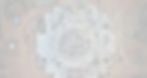 Screenshot 2023-04-06 115807_edited.jpg
