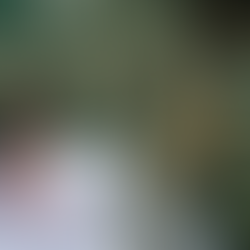 Goodbye Worries, Hello Vacation