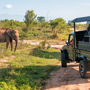 The Best Excursions & Where to Find Them