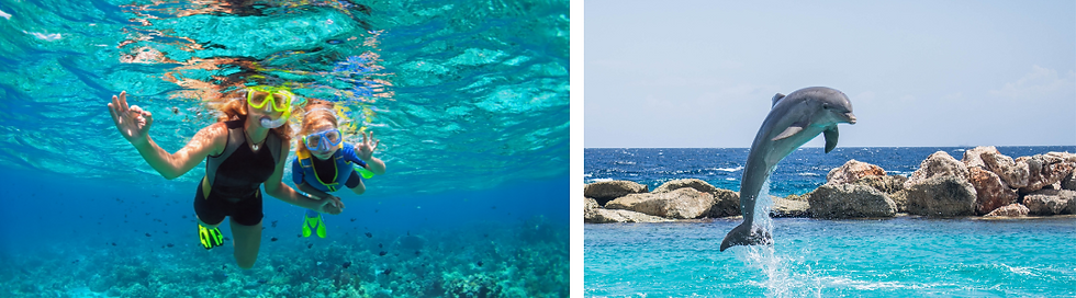 Two picture collage. Image on the left is a mom and daughter snorkeling in the clear waters of Riviera Maya. Image on the right is an image of a dolphin jumping out of ocean in Cancun Mexico.