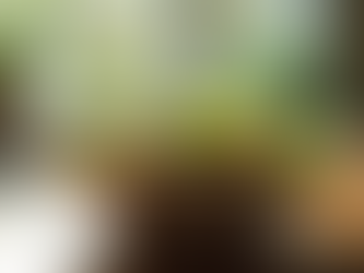 Mastering the Art: 5 Critical Food Photography Errors to Sidestep for Stunning Results