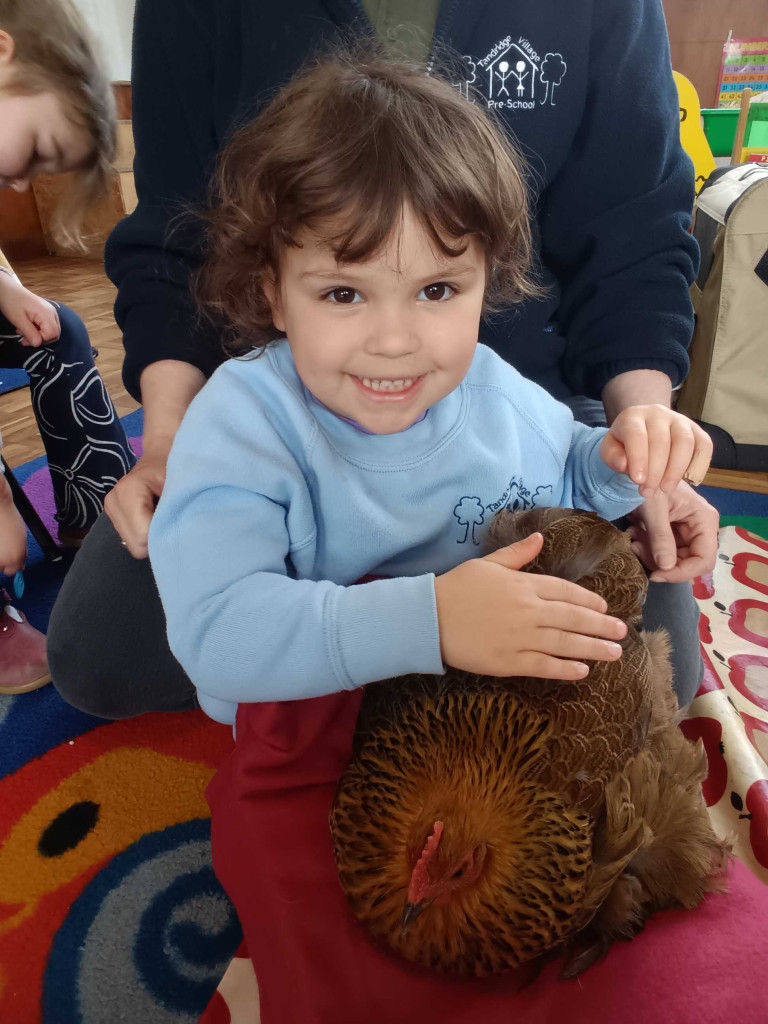 Chickens and a duck come to visit!