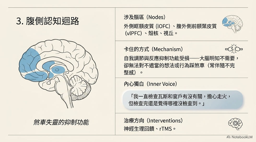 腹側認知迴路:煞車失靈的抑制功能