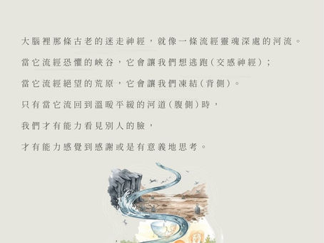 流進靈魂的河道 – 多重迷走神經