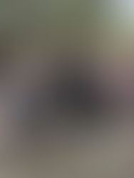 Fotorapport från pilgrimsfärd i Helige Botvids fotspår