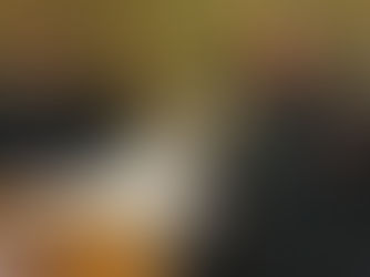 Rapport från Metropolit Kyprianos senaste besök i Sverige