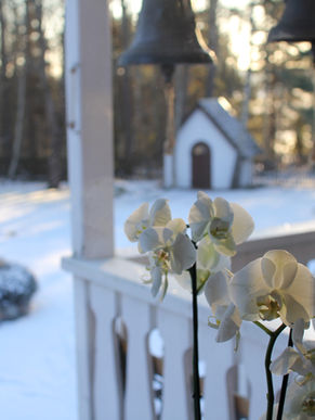 Mirakel i Heliga Philotheis kloster!