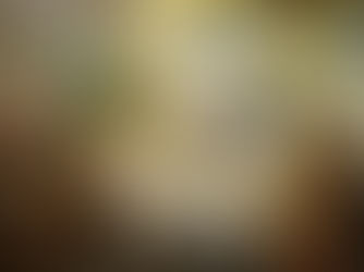 Min mor: En berättelse om en from kvinnas djupa andliga liv i världen