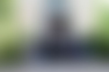 Rapporten om Metropolitbesöket i maj/juni