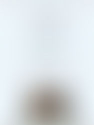 Gudstjänstprogram för Theofania