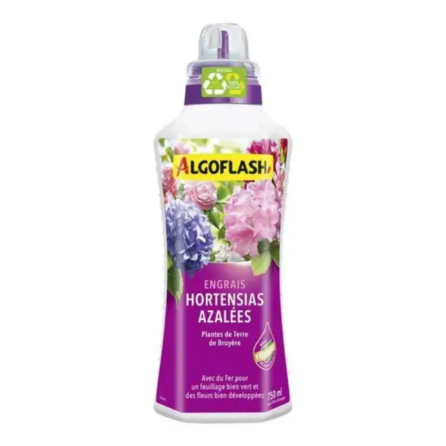 ALGOFLASH® ORTENSIE AZALEE, RODODENDRI,CAMELIE CONCIME LIQUIDO CON MICROELEMENTI