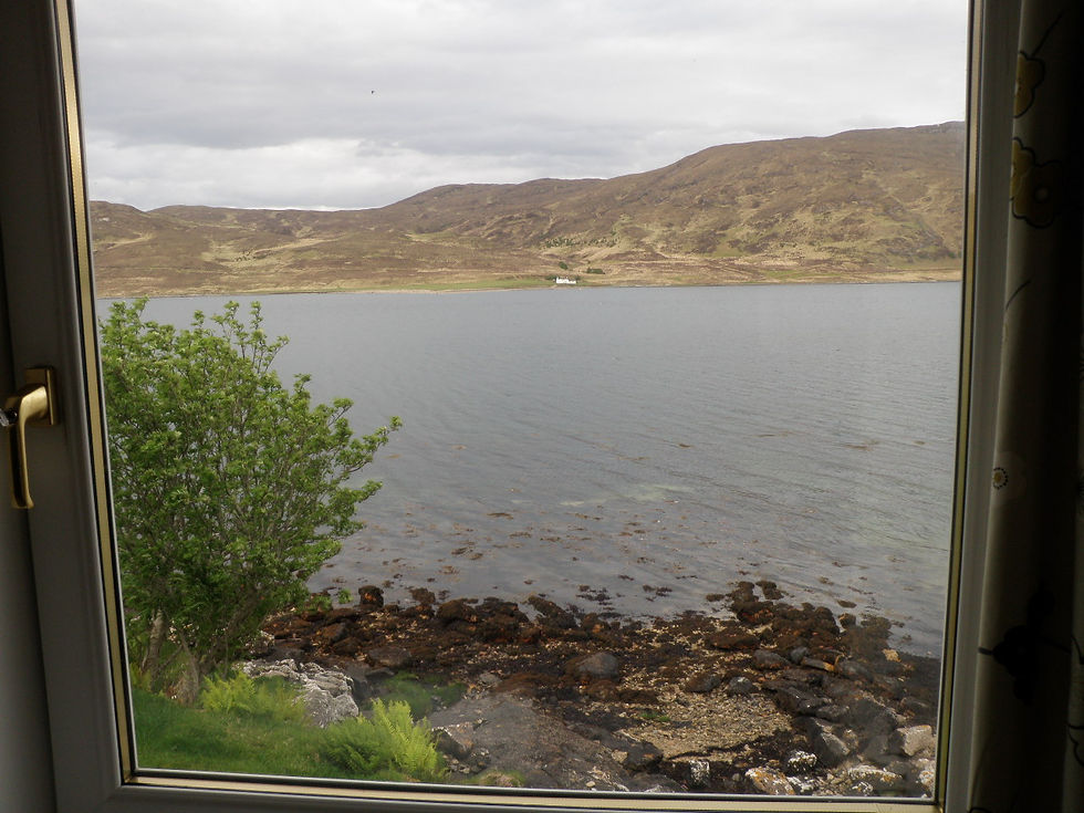 View from lounge