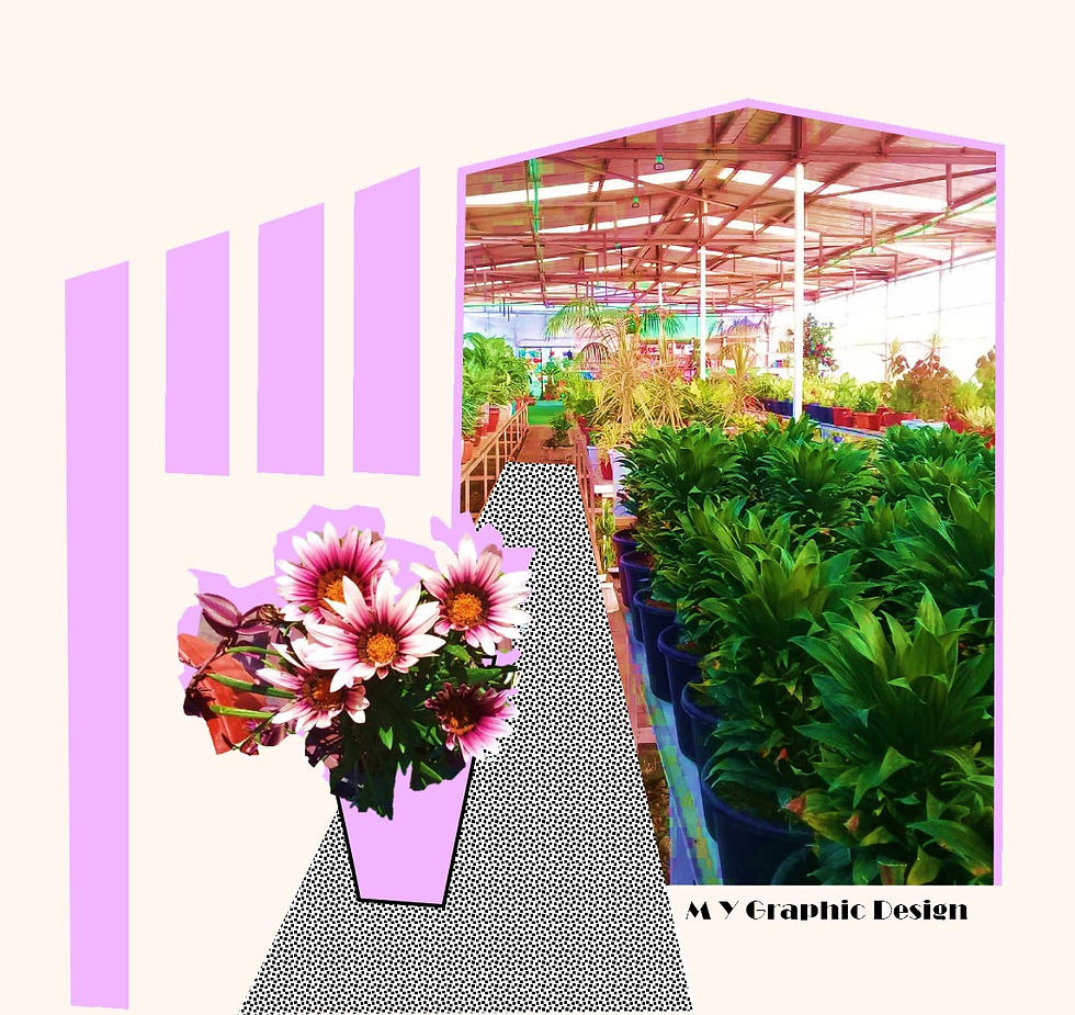 Image2.jpg