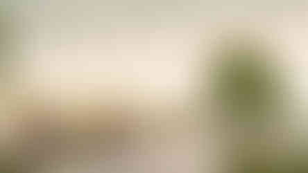 STRATFORD - Theatre Gardens