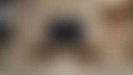 RESIDENCE - Fireplace