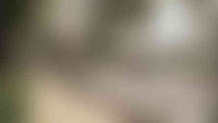 BRANTFORD - Outdoor Lounge