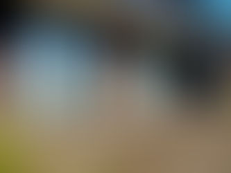 Modern High Performance Home in New Zealand designed with energy efficient construction and healthy indoor living spaces