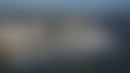 Có gì hấp dẫn tại Palm Beach International Boat Show 2023 tại Florida, Mỹ? 