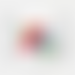 International Night coming up!