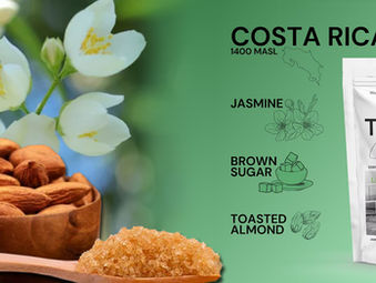 Experience the Taste of MOTIVATION: Jasmine, Brown Sugar & Toasted Almonds — Organic Coffee from Costa Rica
