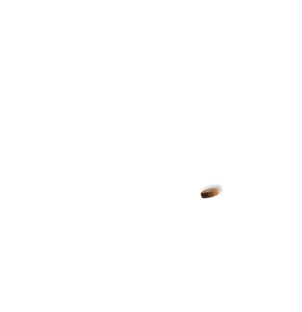 66.png