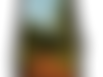 How To Buy Land In Alabama (2025 Intro Edition)