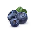 fresh-blueberry-125-gm-exotic-fruits-555.webp