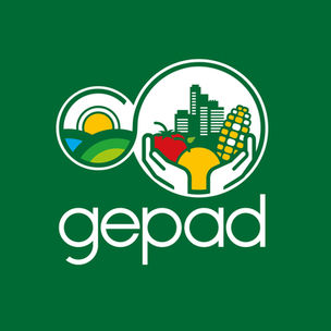 O sistema alimentar que não amadurece: vamos falar de bananas?