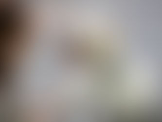 The Basics of Positive Reinforcement: Why It Works