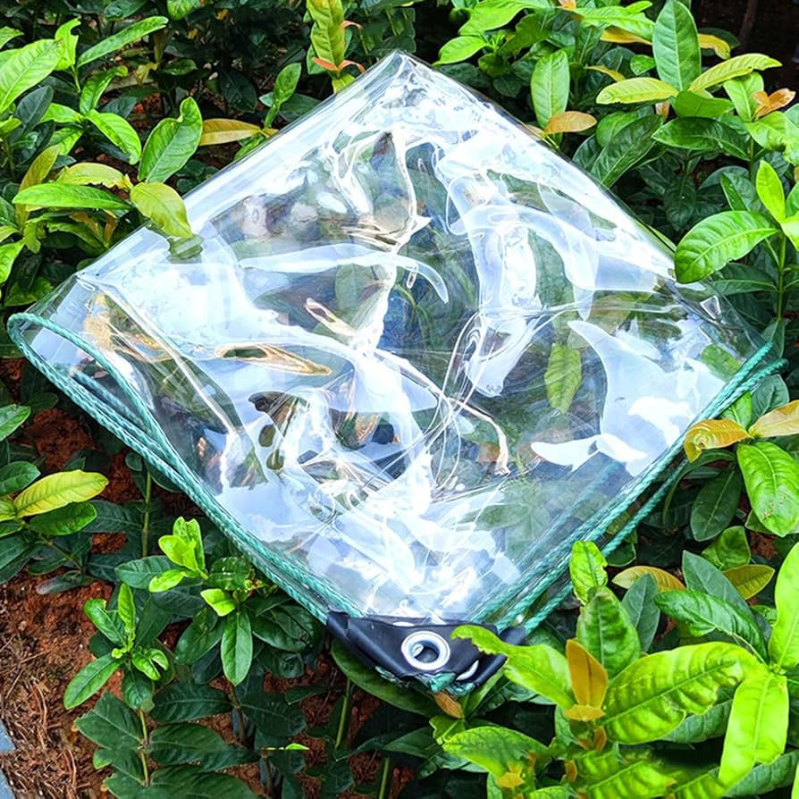 Clear Tarpaulin