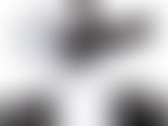 How Tarpaulin Sheets Make Perfect Picnic Shelters