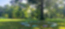 Wix Website Corporate Wellness Header 8.24 CROP.jpg