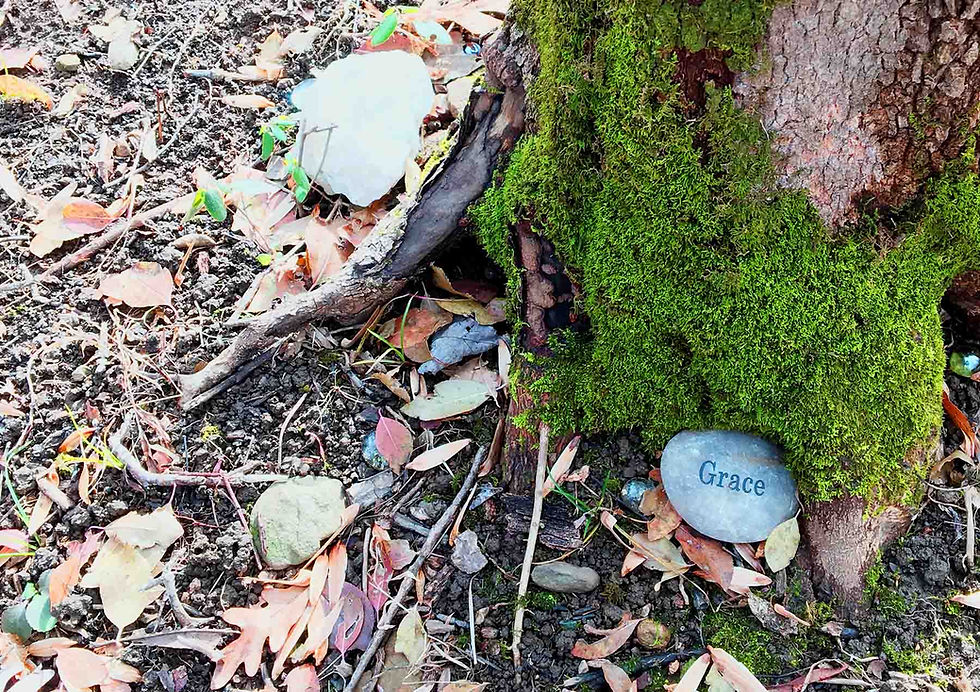 Tree Roots with Stone That Says "Grace"