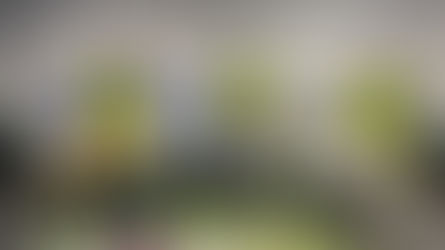 Volunteering efforts of Aisha Mosque brings much needed support to Walsall’s vulnerable residents