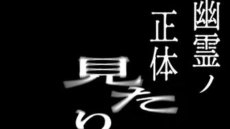 企画展「幽霊の正体見たり枯れ尾花」