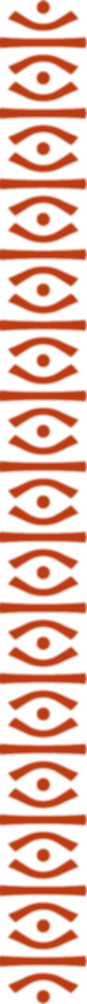 LST - Vertical boarder - Deep Orange.png