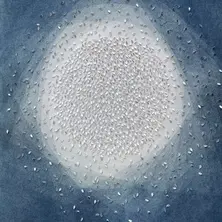 Sharing an Origin artwork by Anna Maria Bellmann