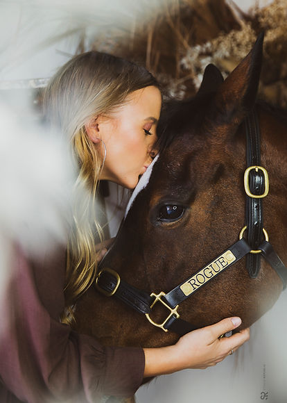 17730_KITTEL_099_FEMYNG_PET_HORSECOPY_R_small copy.jpg