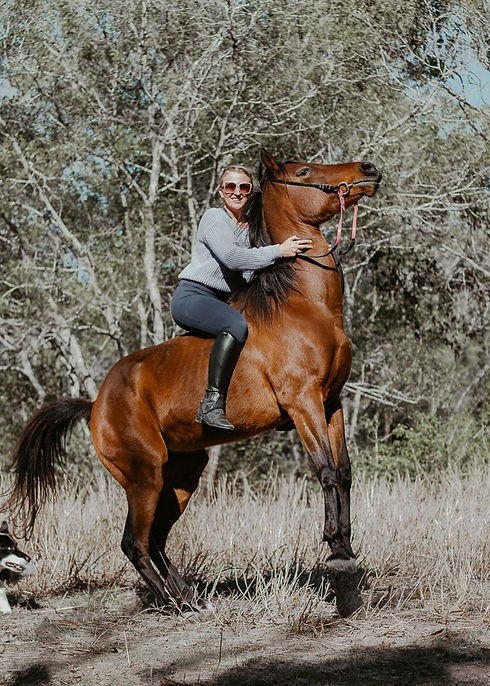 Chook the Emu horse riding equestrian