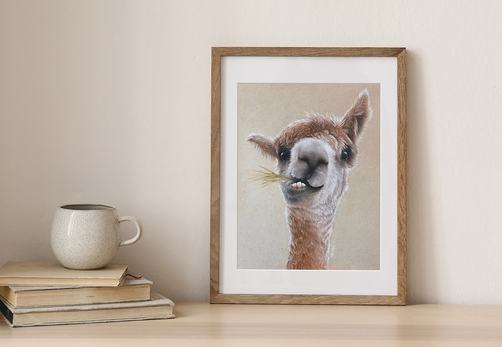 Llama frame_edited.jpg