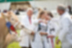 Commercial photographer in York