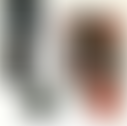 1993 Fernandes catalog