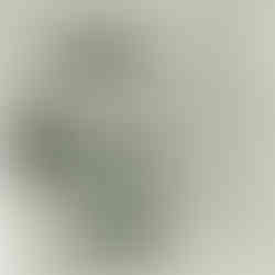 1984 BSV-135 with Floyd Rose FRT-5 (Schaller)