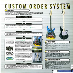 Fernandes Custom Order System 2000