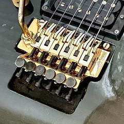 Left-handed Fernandes FGZ Series with FRT-11