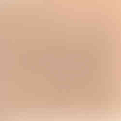 Select models of the Function Series for 1982