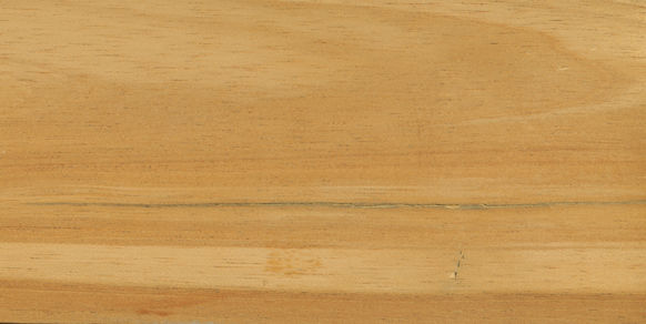 Mahogany other than Swietenia: Cedrela