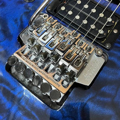Fernandes FRT5-PRO-TRS aka Takeuchi TRS-PRO