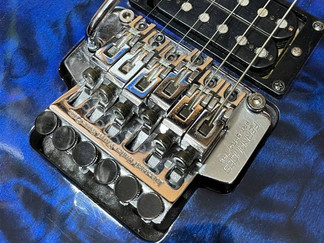 Fernandes FRT5-PRO-TRS aka Takeuchi TRS-PRO